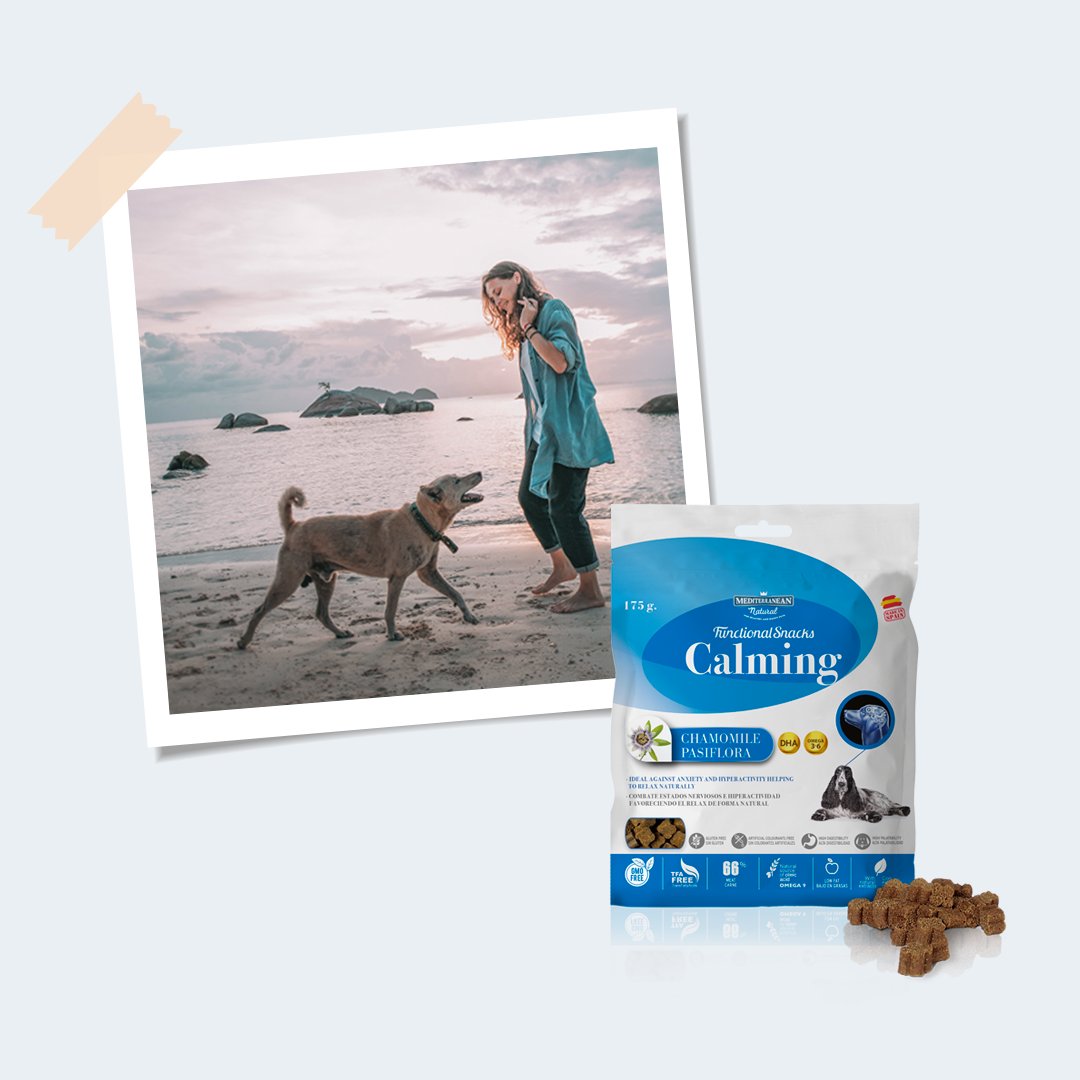 _mnatural's tweet photo. Lo que para ti son las #vacaciones ideales, para tu #perro pueden ser una preocupante fuente de estrés 😢Sin embargo, gracias a su contenido en manzanilla y pasiflora, nuestros #FunctionalSnacks antiestrés pueden ayudarle😉▻https://t.co/5IHr2X9TPC #MediterraneanNatural #ansiedad https://t.co/OSDdsiKMfJ