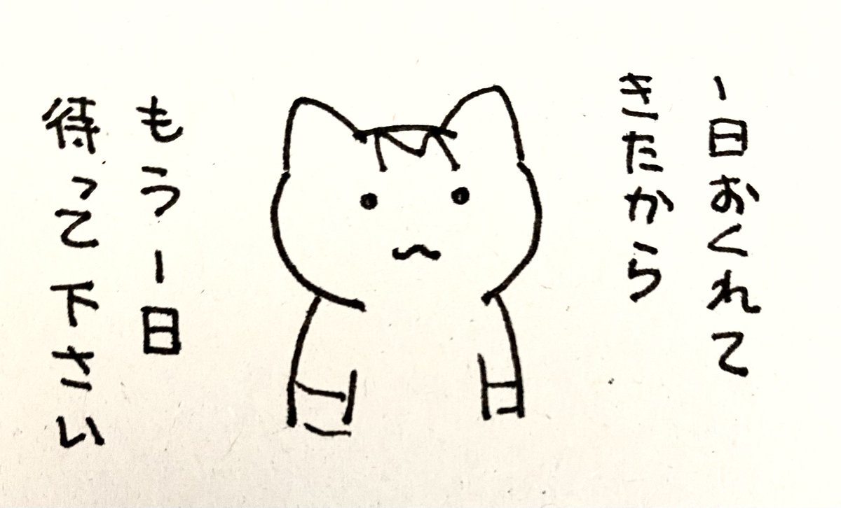 一日伸ばしてもらいたい猫達
#お盆 