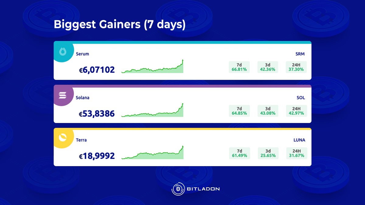 Bitladon tweet media