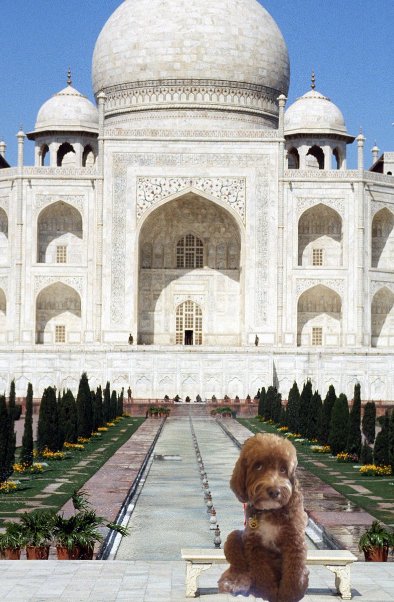 Jon (@giftedrascal) on Twitter photo 