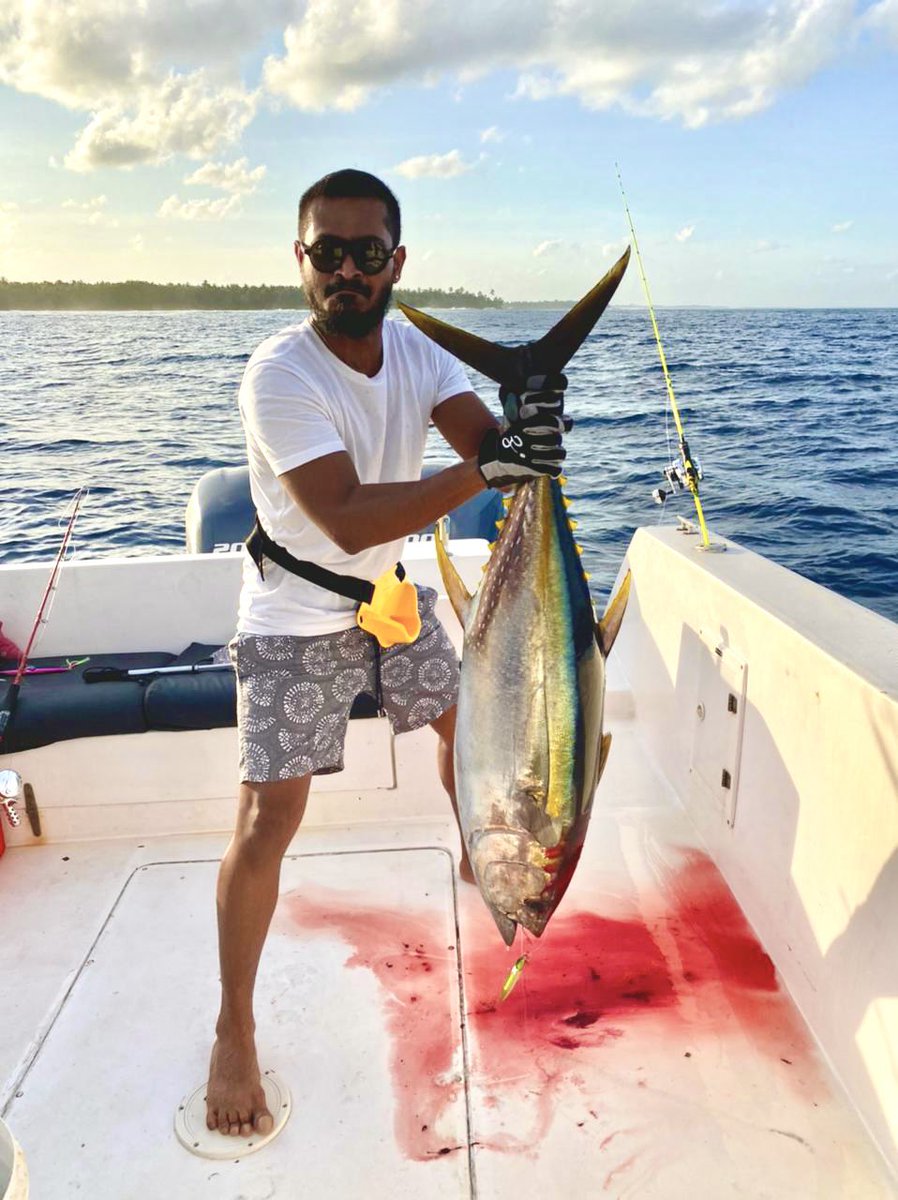 Sunset #jigging #laamu #Maldives #slowjigging #sportsfishing #250g #jig #yellowfintuna #tuna #goofish yellow-green #jiggingmaster #gear