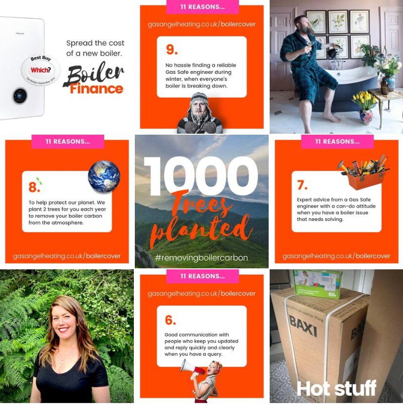 Amy1Mooney's tweet photo. Hi everyone - are you on Instagram? How is it working for you?

We are really new to it and just getting the hang.

You can find us at… @gasangelcover - would ❤️ to connect with you over there. 

Give us a follow so I can follow you right back.

Amy
Gas Angel x

#gasangelcover https://t.co/cY35pBcm6Z