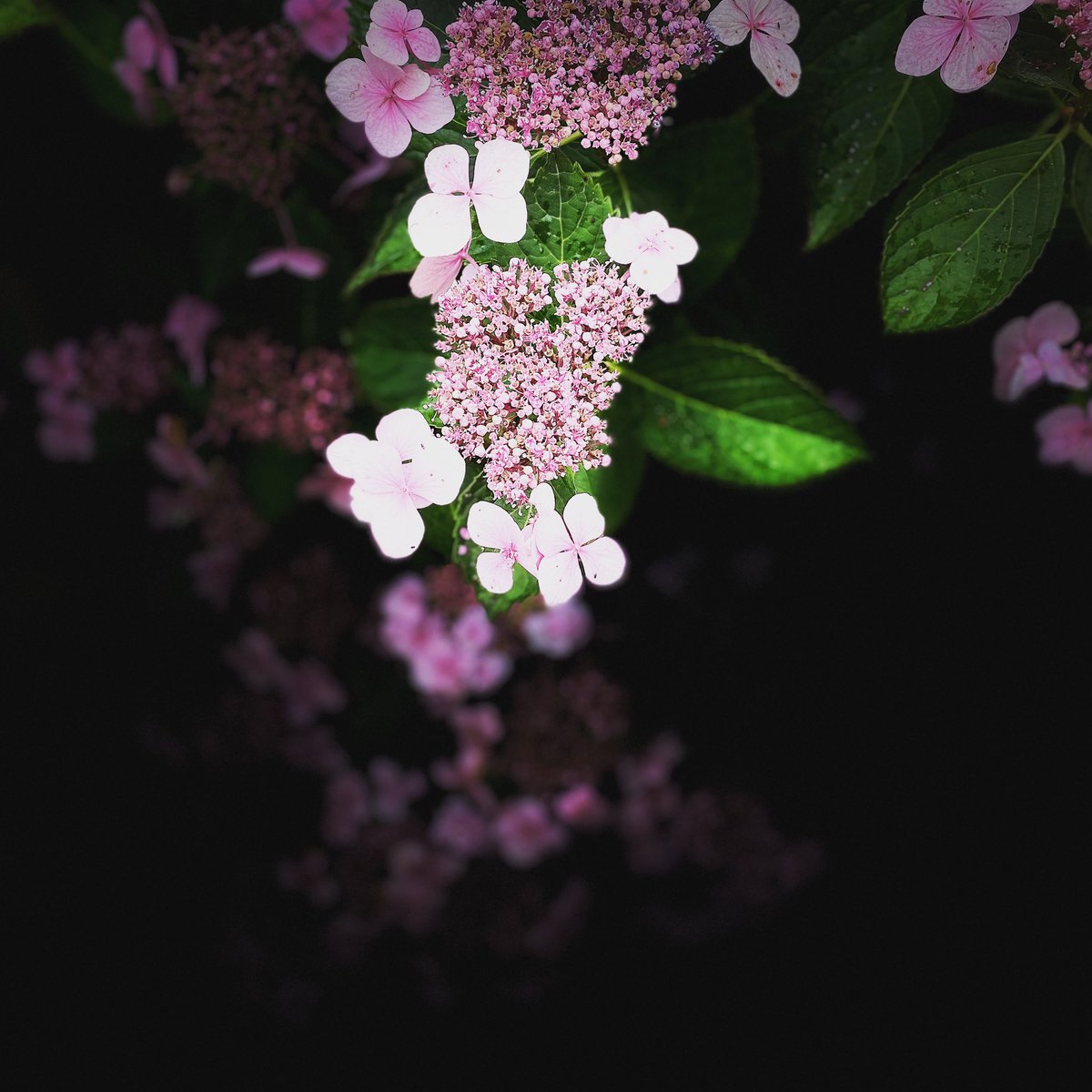 Acc.2MalinMatilda tweet media