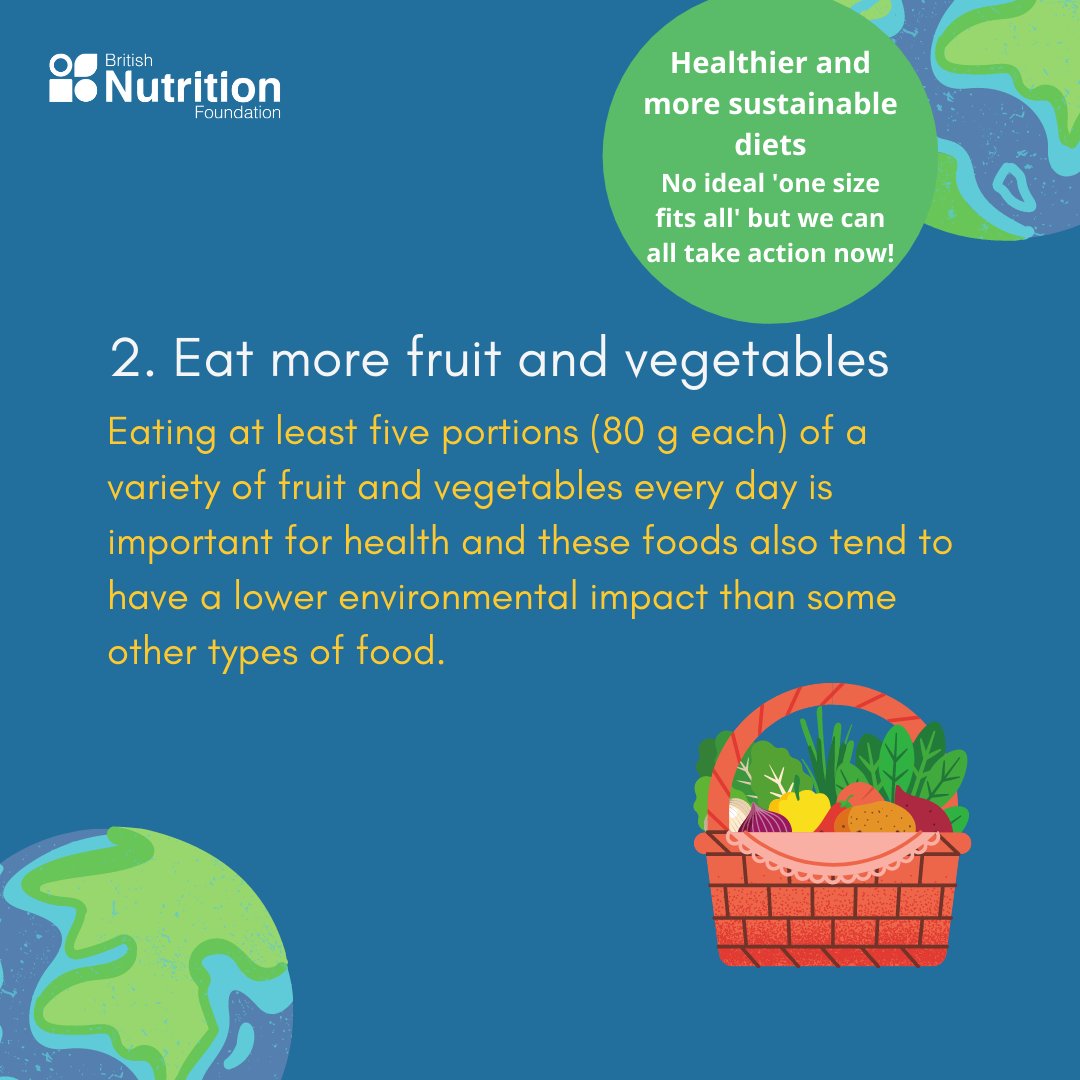 British Nutrition Foundation on Twitter "OUT TODAY! New BNF review