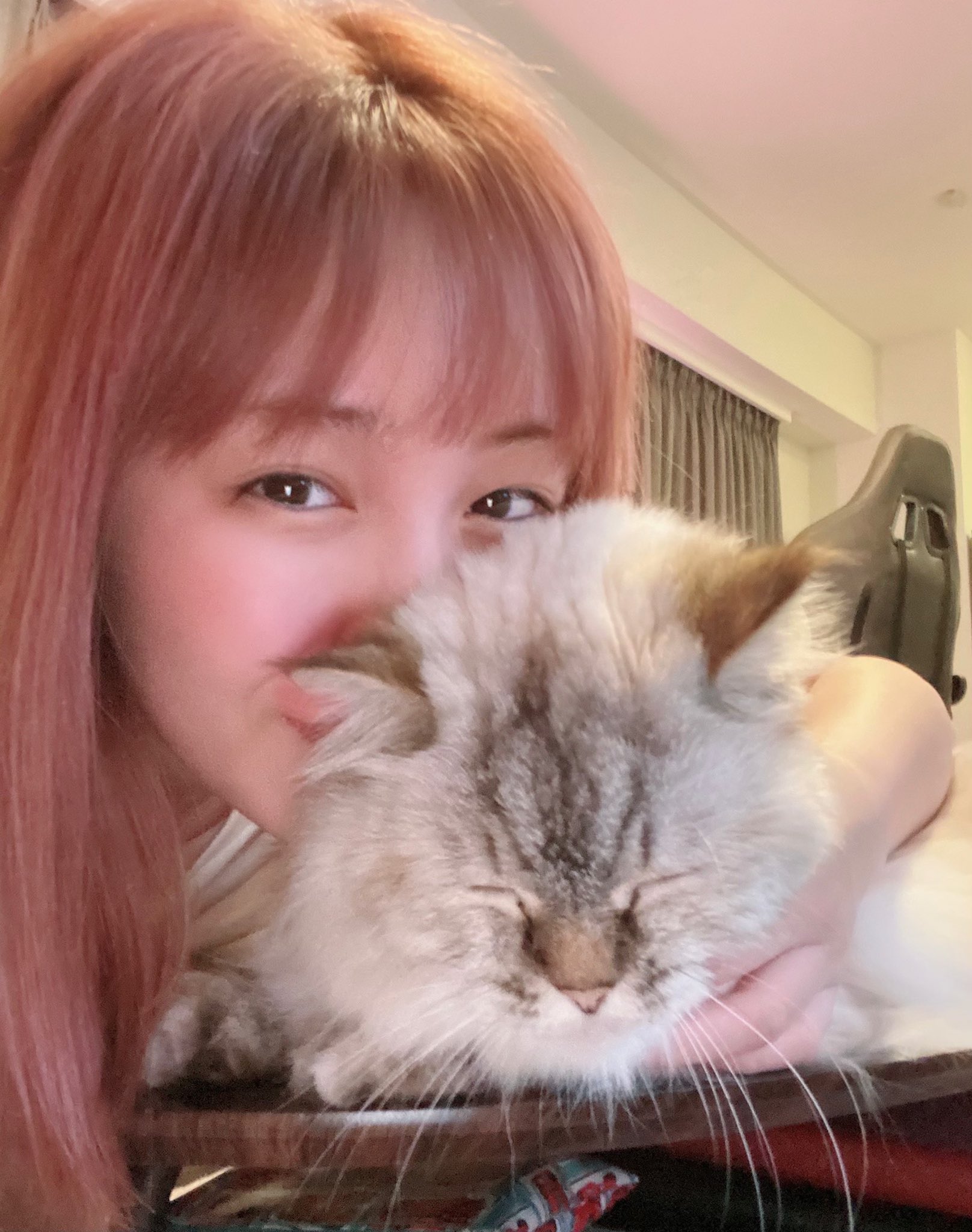 鷲尾伶菜 on X: 