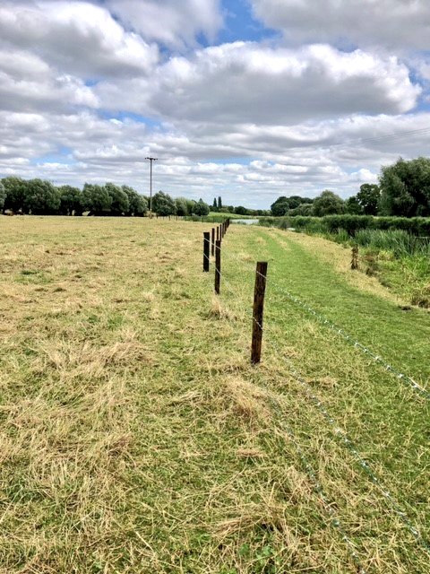 FftFproject's tweet image. Fencing work along this stretch of the River Nene @NeneParkPboro is to protect the watercourse from pollution &amp;amp; erosion. Vegetation along the bank helps stabilise soil &amp;amp; filter run-off. Some poaching on open grassland provides vital bird habitat, e.g. Heron Meadow, Ferry Meadows