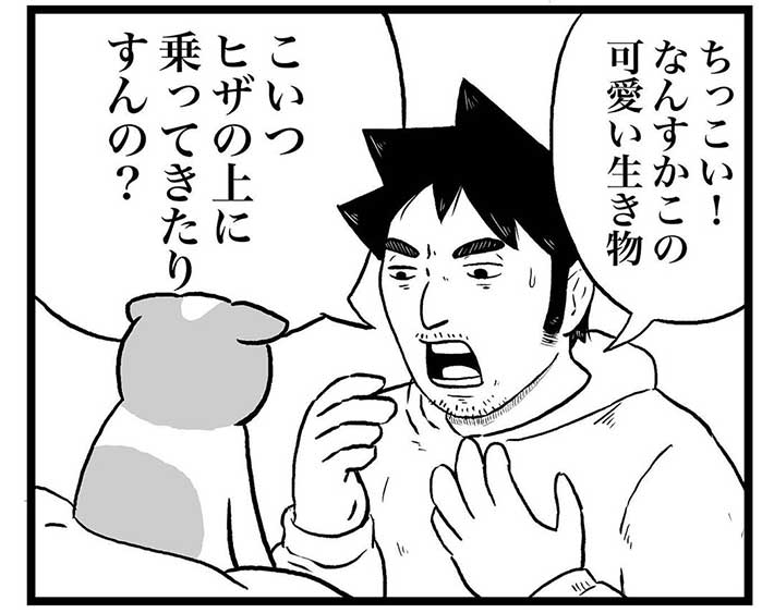 友人「猫ってヒザに乗る?」飼い主「乗らないよ」 続く展開に、腹筋崩壊! https://t.co/UX6nQnZS9F @grapeejpより 