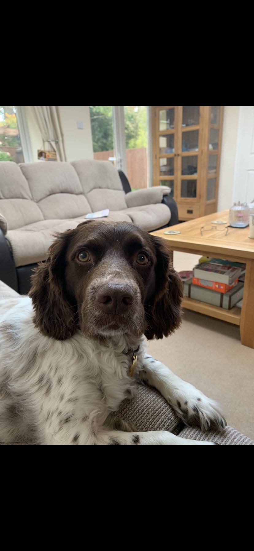  Happy Birthday Nelly lots of love from me and Diesel  