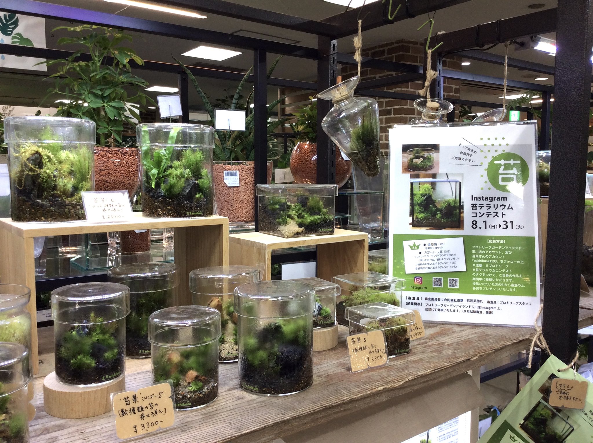道草 Michikusa プロトリーフガーデンアイランドさんで Instagram苔テラリウムコンテストやってます 審査員 Amp 賞品協賛させていただきました 詳細はブログ記事に書いておきましたので リンク先をチェックしてください T Co Rd1x6oifec