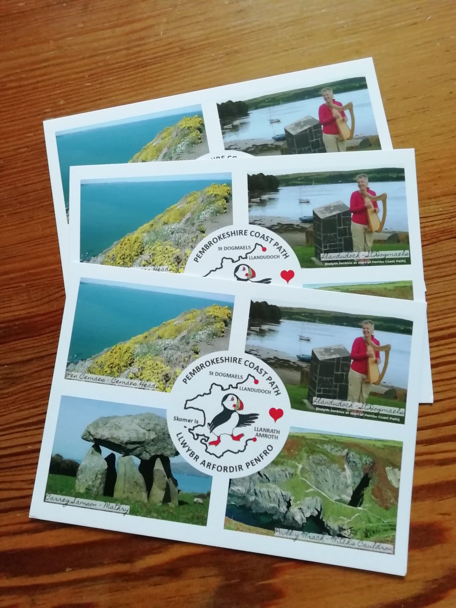 Delyth Jenkins tweet media