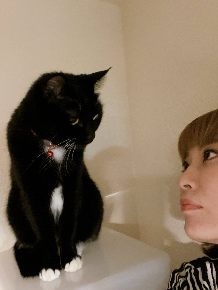 鈴木砂羽 黒猫に感謝の日だって メルシィに感謝 8月17日 黒猫感謝の日 鈴木砂羽 黒猫に感謝の日だって メルシィに感謝 8月17日 黒猫感謝の日