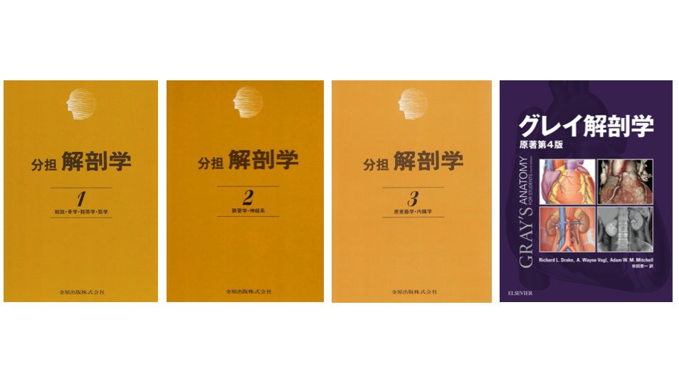 分担解剖学3 分担解剖学3 m3.com 電子書籍 | 分担解剖学3 第11版