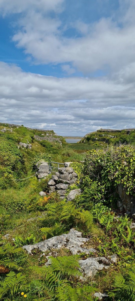 DervlaMurphy1's tweet photo. A great place to recharge the batteries before la rentrée. I hope all French &amp; language teachers have had a great summer après une année difficile @PDST_MFL #aranislands#wildatlanticway#larentrée2021#mfl#edchat.ie https://t.co/RuzHrisyf5