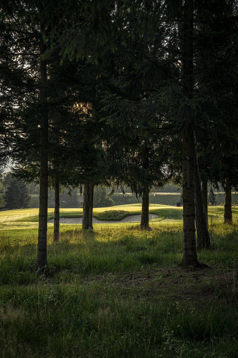 Some early #eyecandy from my current trip to <a href="/royalbledgolf/">Royal Bled Golf</a>. There will be more post about the best maintained golf course in Central (Alpine) Europe. ( In my eyes )
#golf #golftravel #golfcoursephotography #golfblogging #goodsundays <a href="/IMGPrestigeGolf/">IMG Prestige</a>