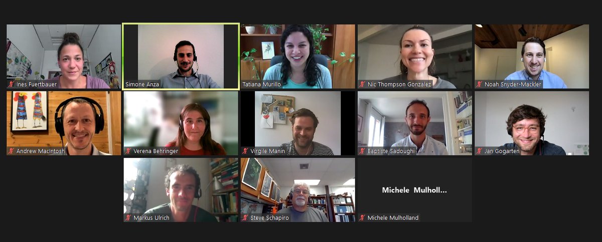 🐒Sociality&Health tweet media