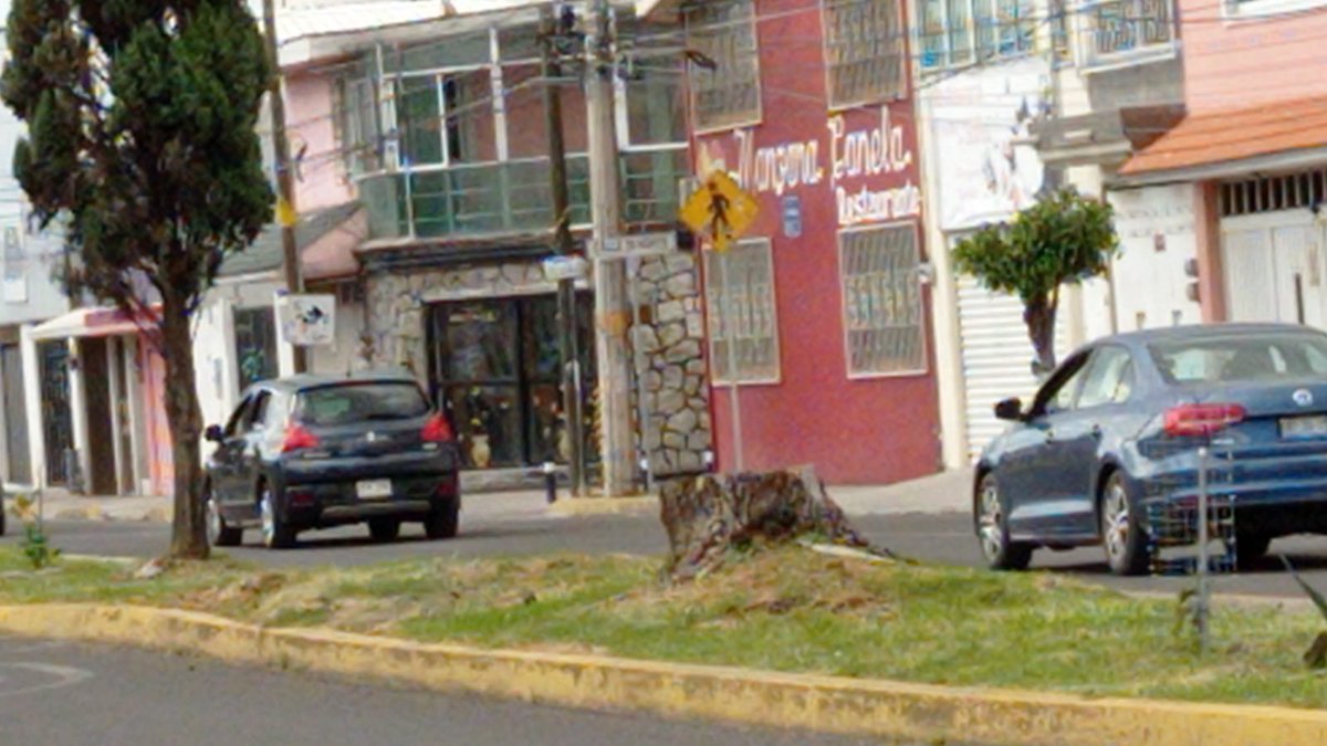 nmaspuebla's tweet photo. #ReporteCiudadano

Solo pedimos que #podaran los árboles NO que los cortaran de esa manera , miren como quedaron en avenida 15 de mayo desde boulevard norte hasta la 39 norte.

Terminación 6689 https://t.co/JRTM4jhuuG
