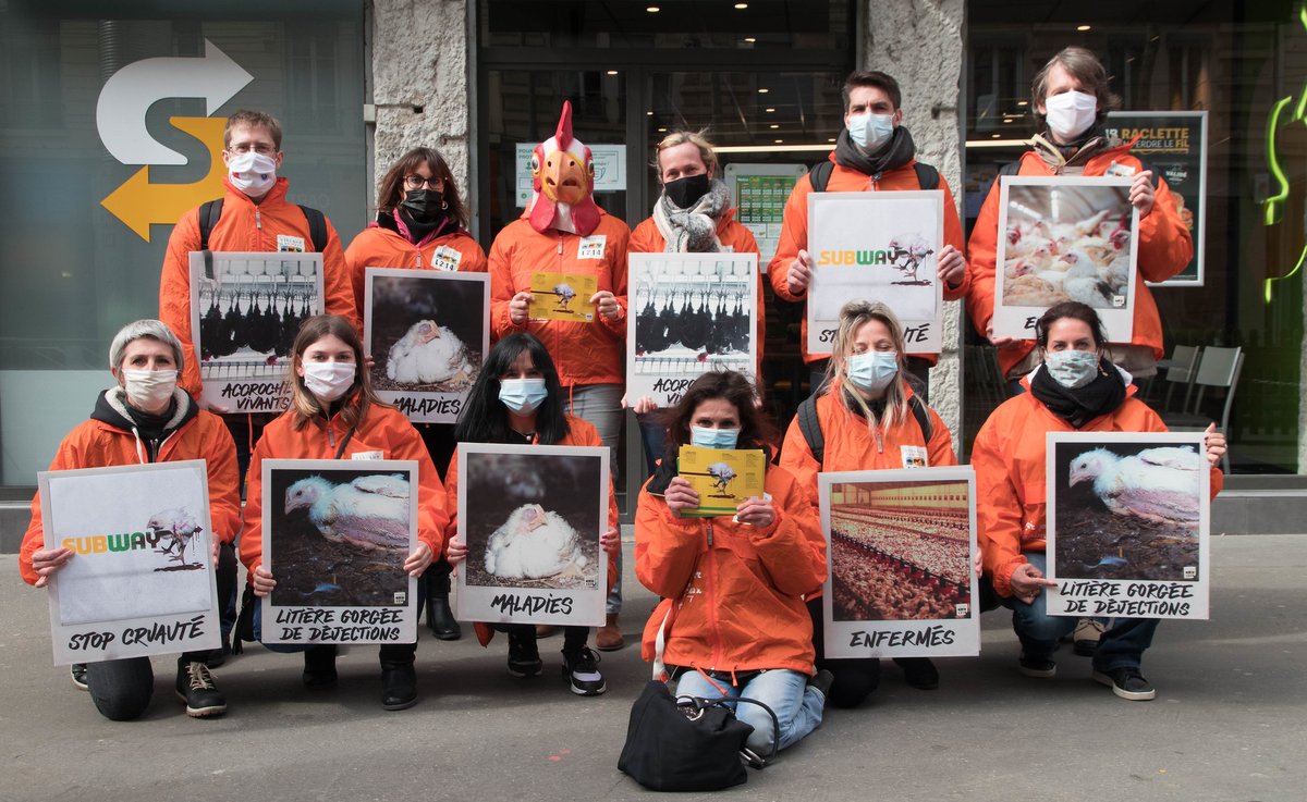 L214's tweet photo. 260 000 signatures de la pétition, des dizaines de manifestations... La mobilisation citoyenne a porté ses fruits : @SubwayFrance a enfin pris un premier engagement contre le pire de l’élevage intensif des poulets !
 
BRAVO ET MERCI AUX BÉNÉVOLES 🙏
 
➡️https://t.co/OObjvDqN3J https://t.co/8I7oU0VuAZ
