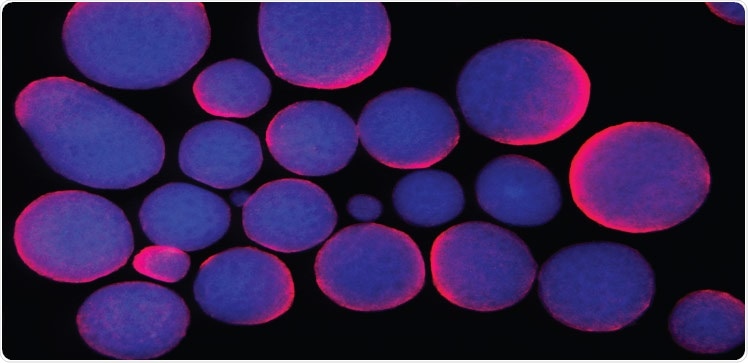 AZoLifeSciences (@azolifesciences) on Twitter photo Pinpointing a lack of best practices in mammalian cell culture
<a href="/KaustResearch/">KAUST Research</a> #news #cell azolifesciences.com/news/20210816/… Pinpointing a lack of best practices in mammalian cell culture
<a href="/KaustResearch/">KAUST Research</a> #news #cell azolifesciences.com/news/20210816/…