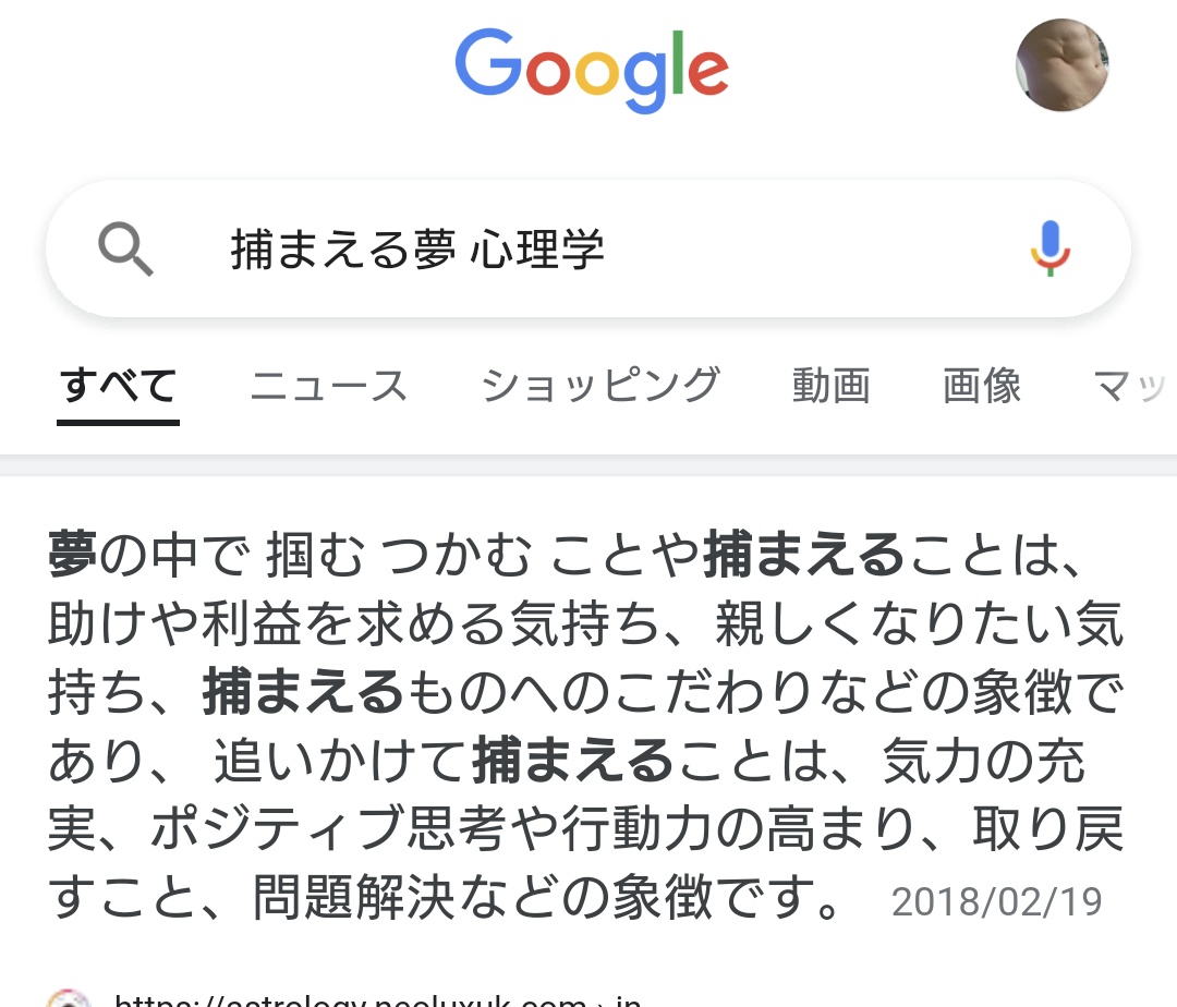 認知心理学 Twitter Search