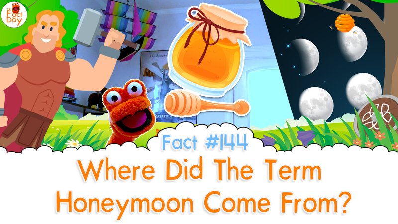 the_fact_a_day's tweet photo. Hi Friends! In today's fact we learn about the term Honeymoon! Mr. Toes teaches us where it really came from and where it didn't come from.

#thefactaday #factoftheday #fact #education #kids #fun #interesting #mrtoes #honeymoon #language #thor

https://t.co/FRGD34dRC8 https://t.co/o8wfhcPQJo