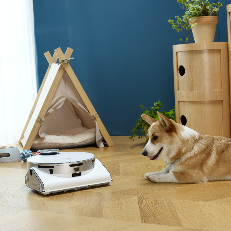 SamsungFR's tweet photo. Plus d’inquiétude, il aura maintenant de la compagnie même quand vous n’êtes pas là. 🐕
#SamsungJetBot