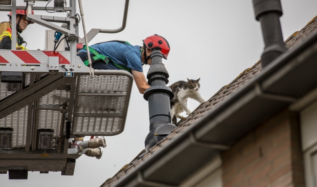 Brandweer rukt uit voor kat op 't dak