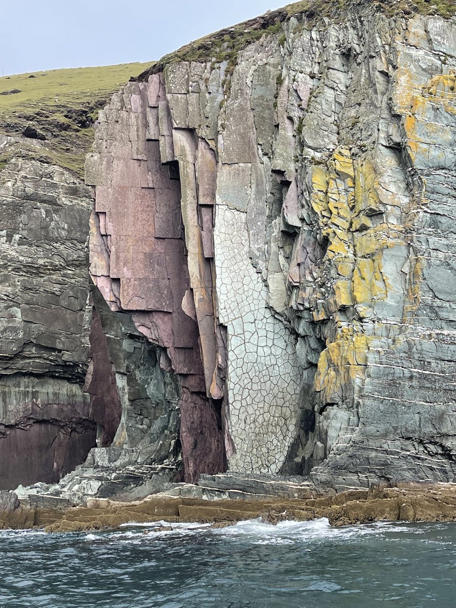 ianrobertson tweet media