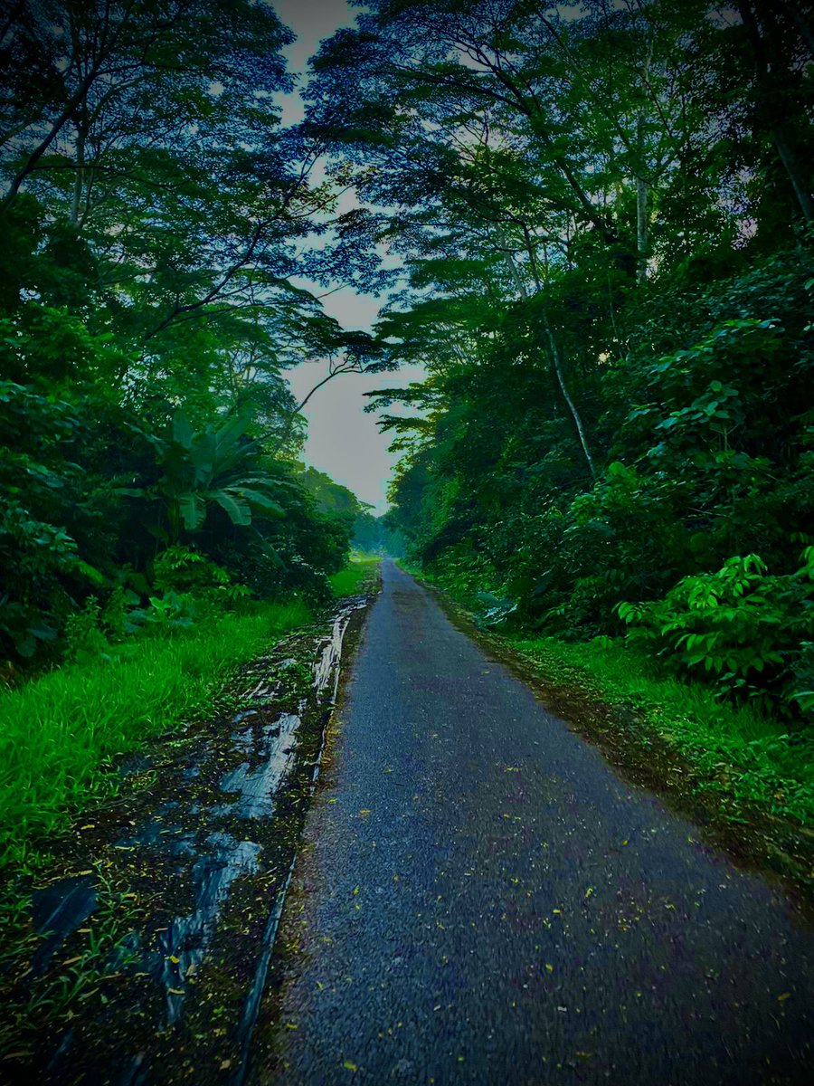 The Gods gift some with 
a soul of sorrow 
a song of silence 
and a life 
drawn with tears 

Tears brought with us 
in birth 
Gifted to those around us 
in death