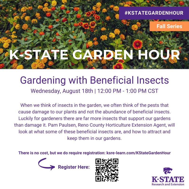 frontier_ksre's tweet photo. Don't forget to register for K-State Garden Hour this week where they will talk about 'Gardening with Beneficial Insects.' 🐜 https://t.co/XMcQEa51b7