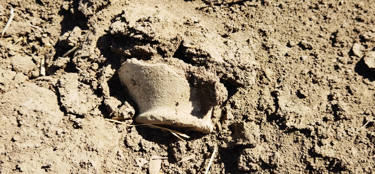 heidar_aldaoudi's tweet photo. The beginning of the tour season on archaeological sites with the fairly mild summer sun, in order to intensify follow-up in the protection of these important sites https://t.co/3cVY06oA1K