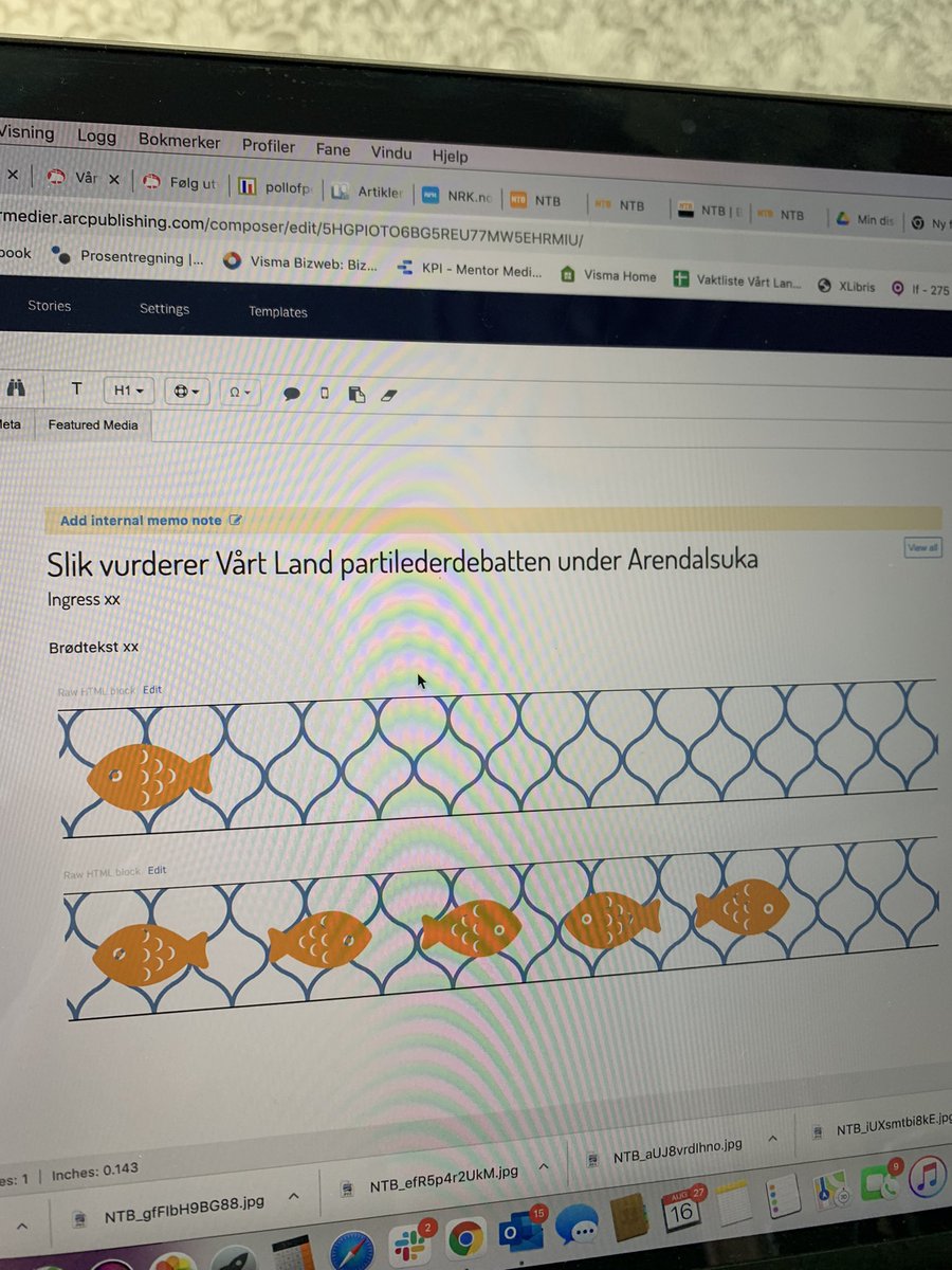 Vi driver ikke med terningkast i Vårt Land… men fisker i garnet er mer i vår gate. Hvem fanger bare én fisk under kveldens partilederdebatt, og hvem får fullt garn, mon tro?