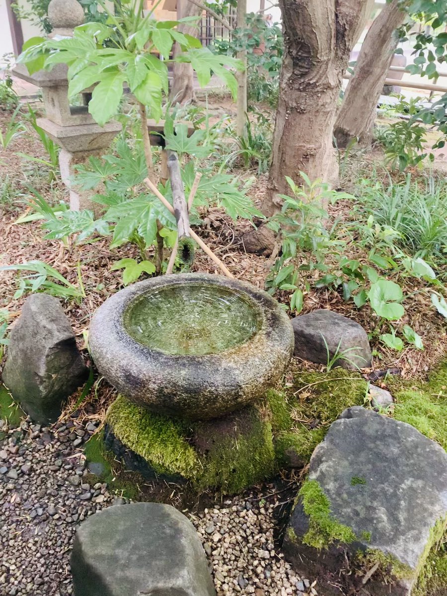 播磨屋本店 Twitter Search