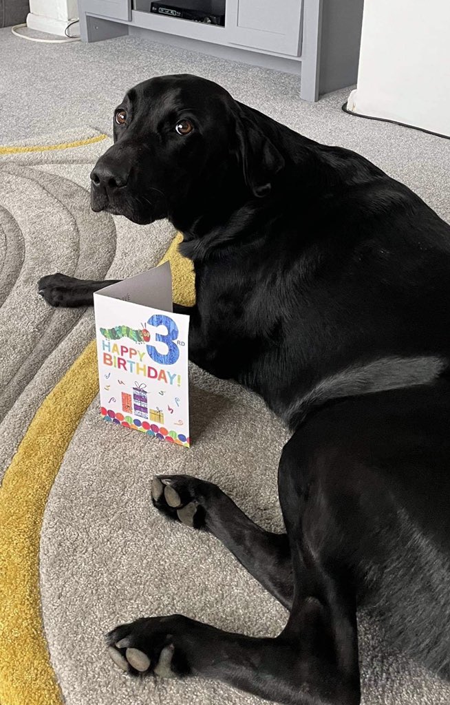 Lee Trewhela 〓〓 tweet media