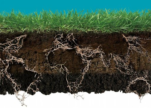 Почвоведение для детей. Земля грунт. Что такое гумус почвы. Почва и ее. Плодородие почвы.