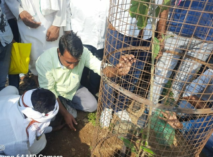 NareshMeena__'s tweet photo. आज जन्मदिन के उपलक्ष्य में गाँव में पौधारोपण किया! https://t.co/himszBjf7h