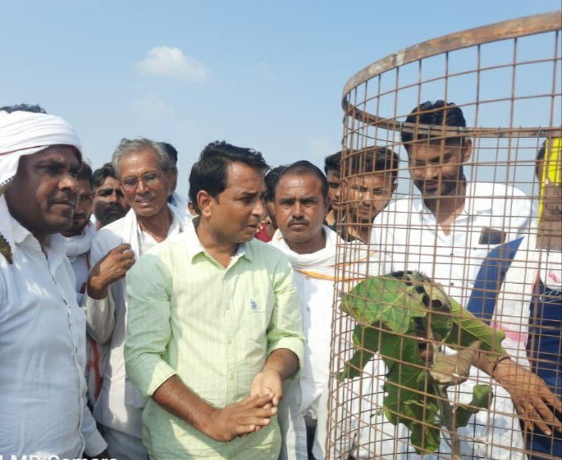 NareshMeena__'s tweet photo. आज जन्मदिन के उपलक्ष्य में गाँव में पौधारोपण किया! https://t.co/himszBjf7h