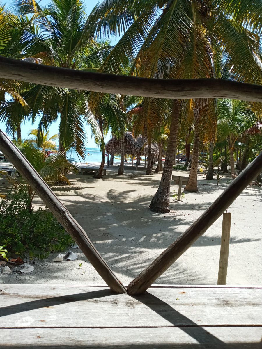 bzeadventures's tweet photo. Monday blues? Our island office isn't half as nice as your cabana view this winter. #slickrockadventures #belizeadventures #belizeadventure #gloversreef #longcaye #gloversreefatoll #offgrid #ecolodge #ecoresort #belize #belizevacation #visitbelize #glamping #belizeholiday #eco https://t.co/1QGrMBozu0