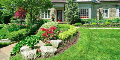 NassyCharles's tweet photo. Plus, find out why this gardening task is so important. When it comes to maintaining a thick and healthy lawn, a little aeration can go a long way. https://t.co/UGdmva4Imv https://t.co/mdaZYkmBgI