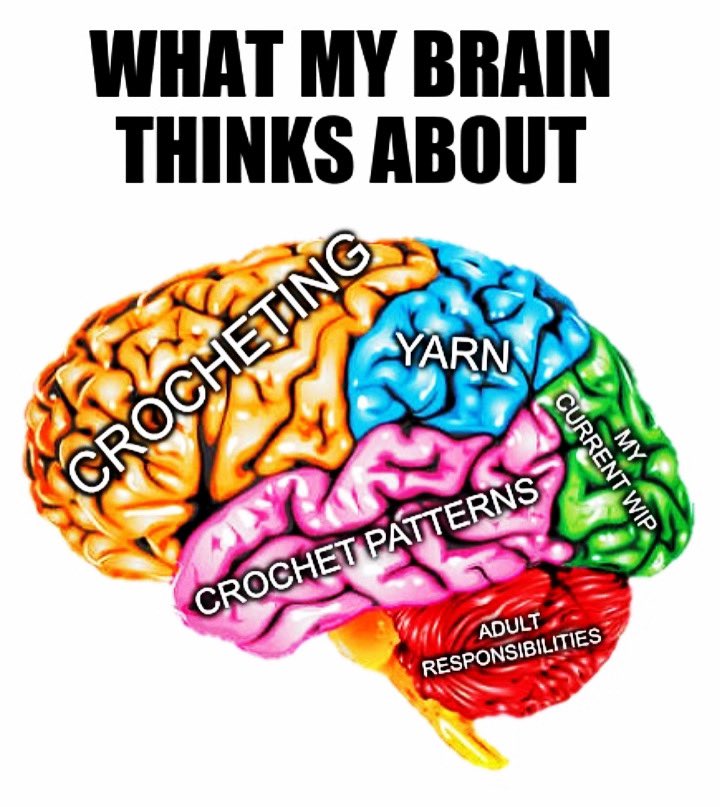 OhSoPrettyAC's tweet photo. #tellajokeday
This pretty much sums up my brain! 😆 #ohsoprettyandclever #crochetaddict #addictedtocrochet #crochetlove #crochetersoftwitter #lovetocrochet #tellajoke #MondayMood https://t.co/4H8pXIQlf8