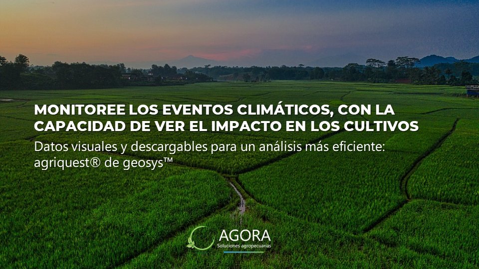 Agora_agro's tweet photo. Resumen y pronóstico semanal, para la zona núcleo sur, en nuestra web:
https://t.co/1dfpRfOn3S https://t.co/DmOuEvPGeJ