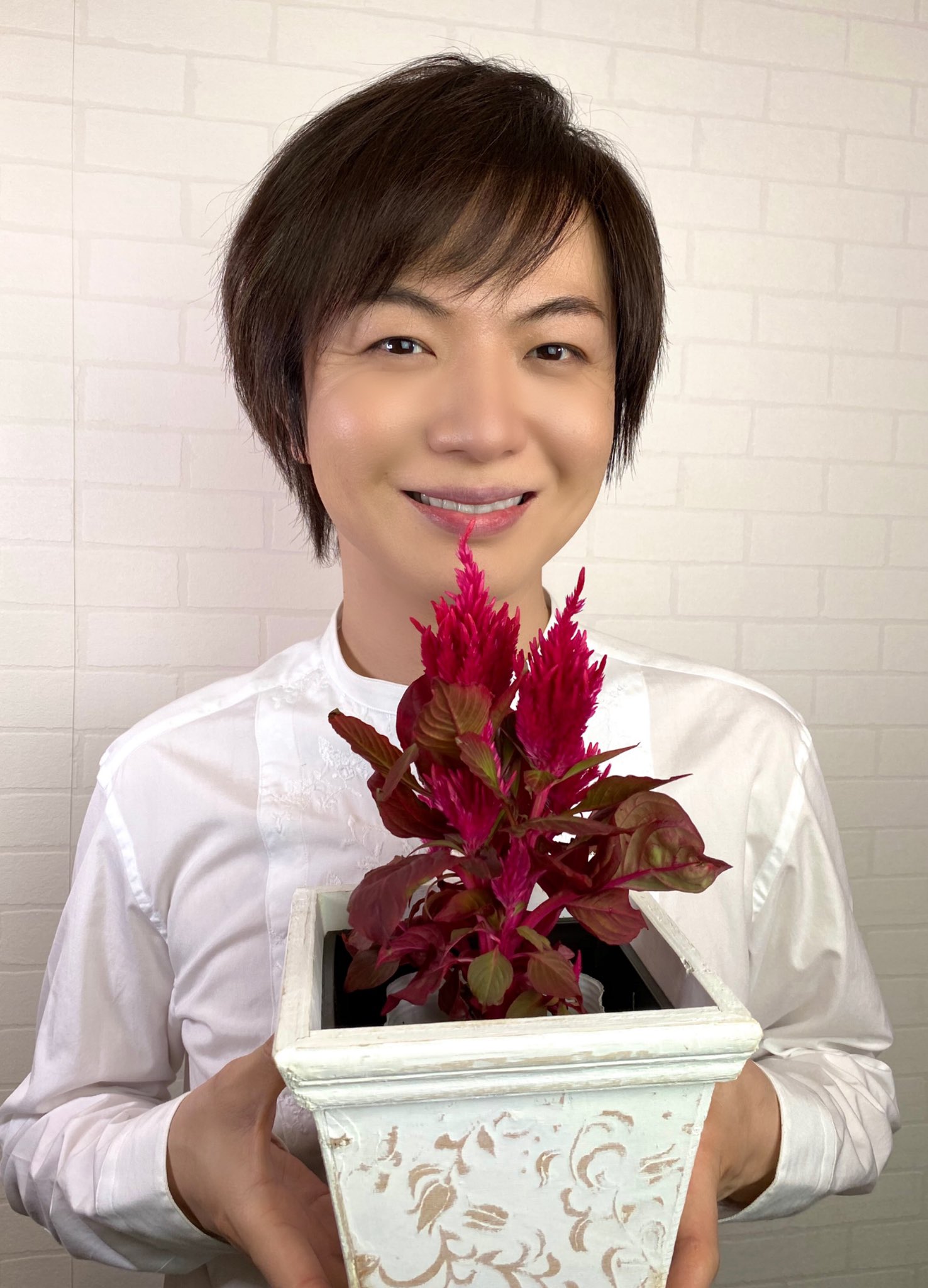 Twitter এ 竹島宏スタッフ 公式 ウモウケイトウ スマートルック 花言葉は 色あせぬ恋 花言葉の由来は長い期間 カラフルな花が咲くこと 赤は気持ちが元気になる パワー色 今日も１日お疲れ様でした ひろネット 花言葉 花便り 花 花のある暮らし 花