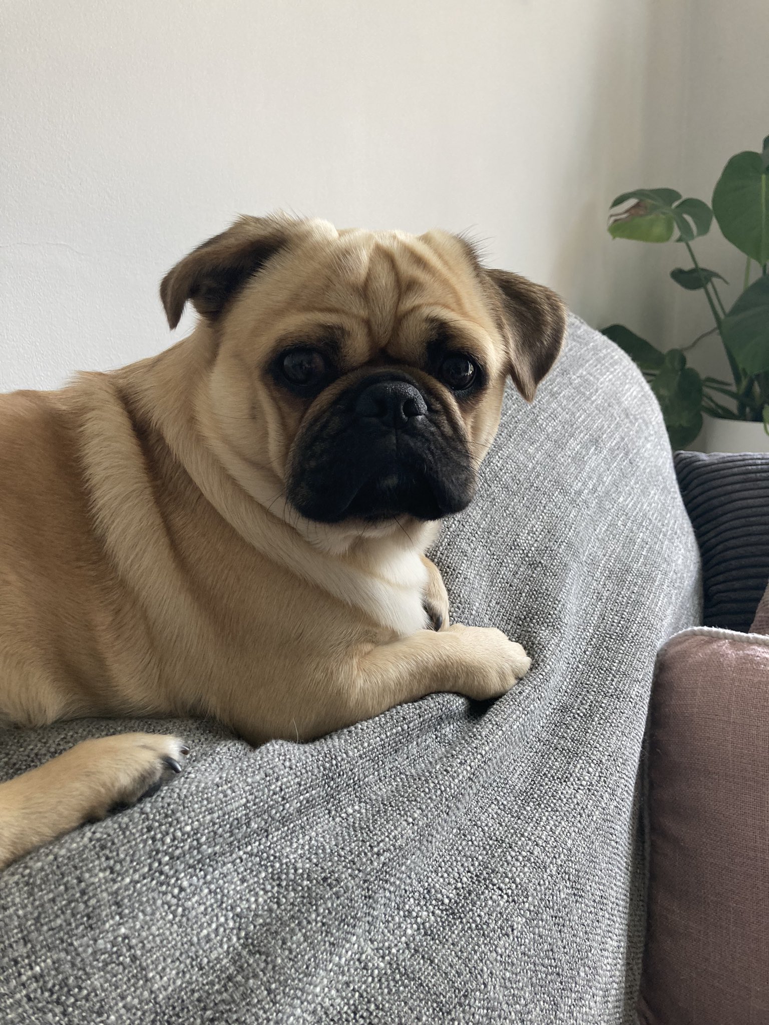  Happy birthday Nelly, love Reggie 