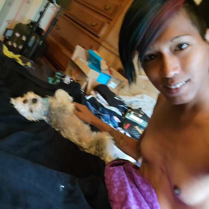 Feeling cuddly ?
#TransIsBeautiful #furbaby https://t.co/3zjhrU6XgS