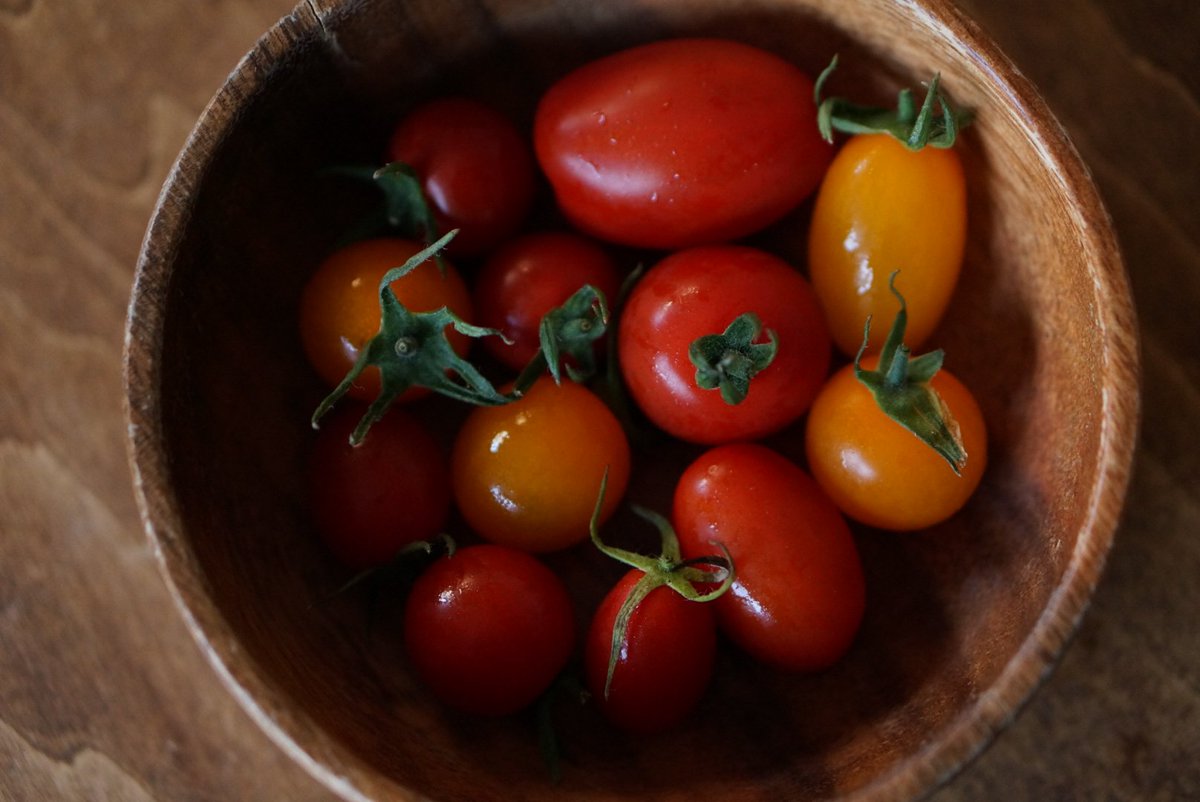 toshib9's tweet image. 🍅