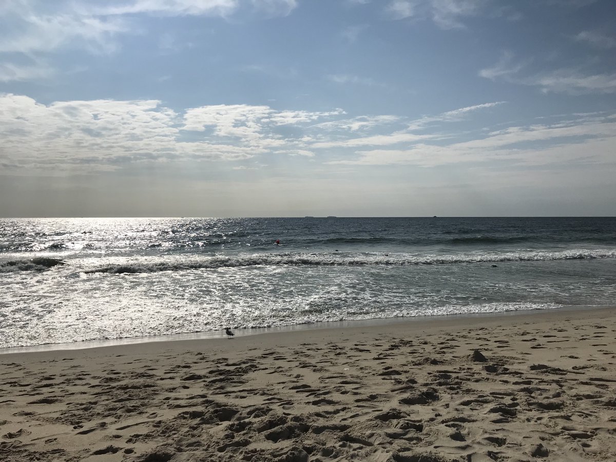 Pitkin_Review's tweet photo. The Pitkin Review is enjoying its summer! We hope you are too. So tell us about your summer...What did you do? https://t.co/WiCEPfuRhe