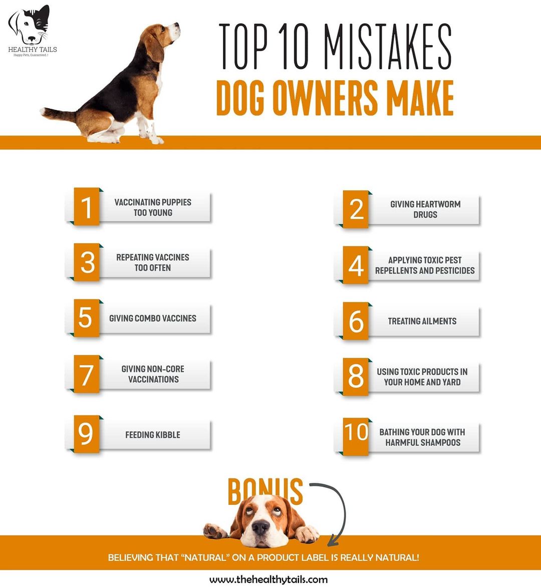Thehealthytails's tweet photo. 10 Mistakes Dog Owners Make.🦮
.
So if you are a pet lover try these products for a healthy pet life from here - https://t.co/kS1rGq7yVF
.
.
#THT #pettips #pethealthytips #doghealthtip #strongdogs #dogowners #dogownerlife #dogowner #dogownerproblems #dogownersofinstagram https://t.co/cPYGXWXPXQ