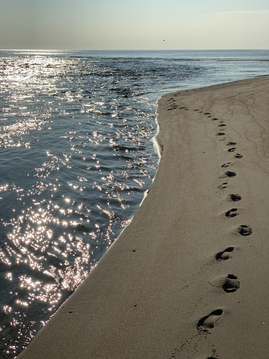 Hans J. Schmidt tweet media