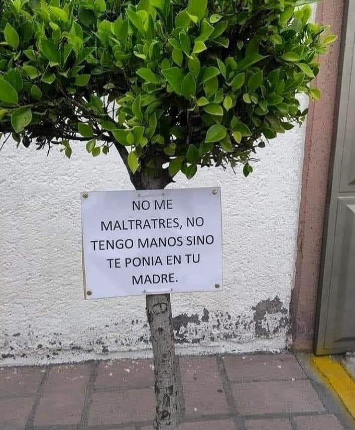 🇲🇽 México Mágico ✨ (@enmexicomagico) on Twitter photo 