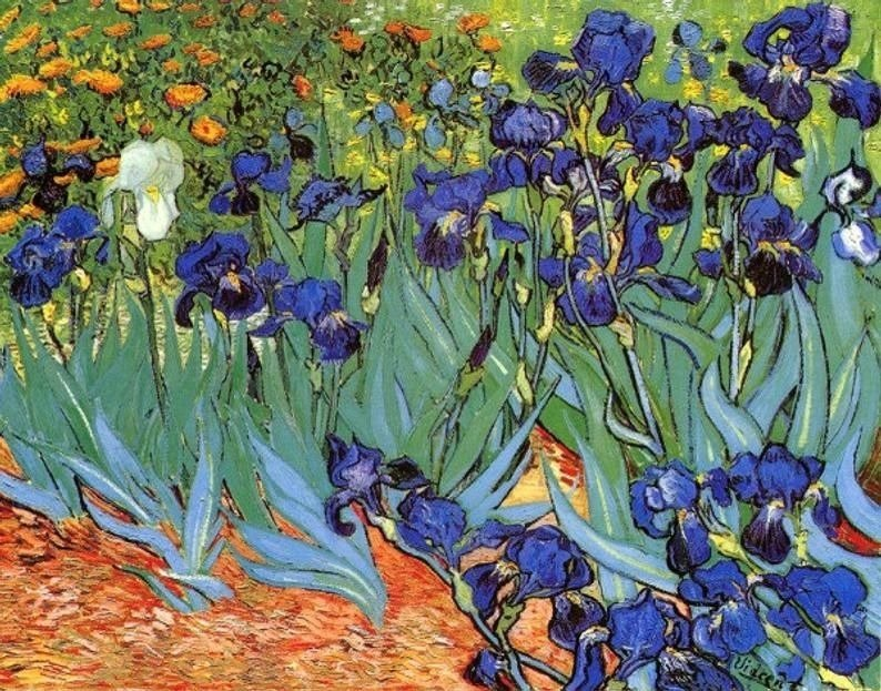 Carcamus's tweet photo. Vincent Van Gogh https://t.co/Br2ftvdNbm