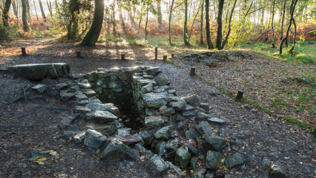 druidtombraider's tweet photo. In the Ancient Forest of Brocéliande lies the Fountain of Barenton where Merlin performed his magic arts for the wily Vivien. Pic: Emmanuel Berthier #MythologyMonday @MythologyMonday @AimeeMaroux @ClassicalMyths https://t.co/DBohkf1e4J